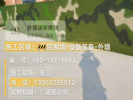宝山 迷彩漆喷涂价格（按平方米计费）